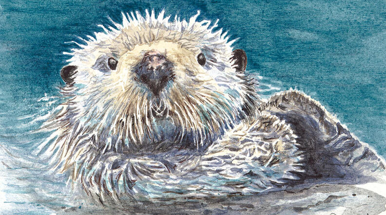 River Otter River Otter